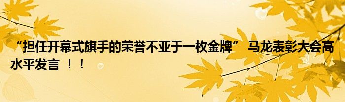 “担任开幕式旗手的荣誉不亚于一枚金牌” 马龙表彰大会高水平发言 ！！