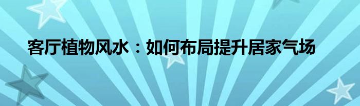 客厅植物风水：如何布局提升居家气场