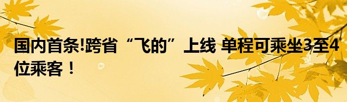 国内首条!跨省“飞的”上线 单程可乘坐3至4位乘客！