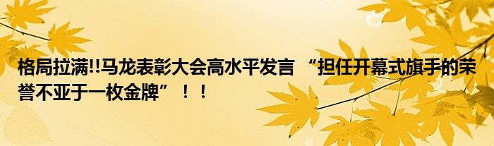 格局拉满!!马龙表彰大会高水平发言 “担任开幕式旗手的荣誉不亚于一枚金牌”！！