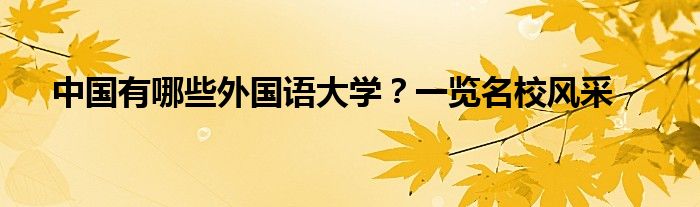 中国有哪些外国语大学？一览名校风采