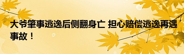 大爷肇事逃逸后侧翻身亡 担心赔偿逃逸再遇事故！