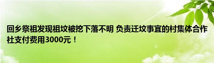 回乡祭祖发现祖坟被挖下落不明 负责迁坟事宜的村集体合作社支付费用3000元！