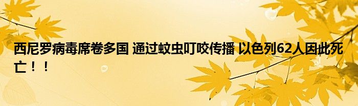 西尼罗病毒席卷多国 通过蚊虫叮咬传播 以色列62人因此死亡！！