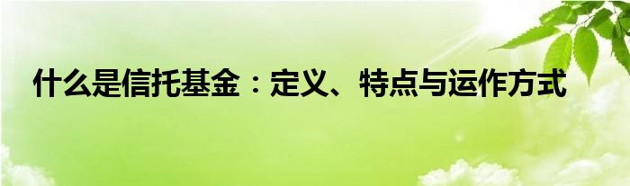 什么是信托基金：定义、特点与运作方式