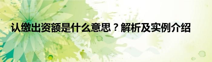 认缴出资额是什么意思？解析及实例介绍