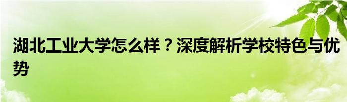 湖北工业大学怎么样？深度解析学校特色与优势