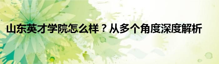 山东英才学院怎么样？从多个角度深度解析