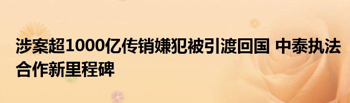 涉案超1000亿传销嫌犯被引渡回国 中泰执法合作新里程碑