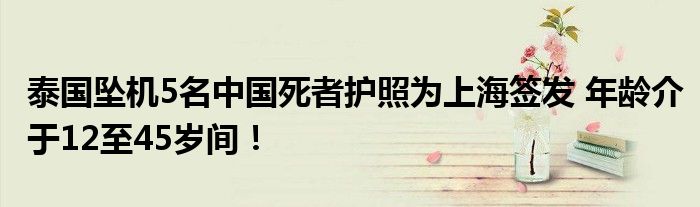 泰国坠机5名中国死者护照为上海签发 年龄介于12至45岁间！