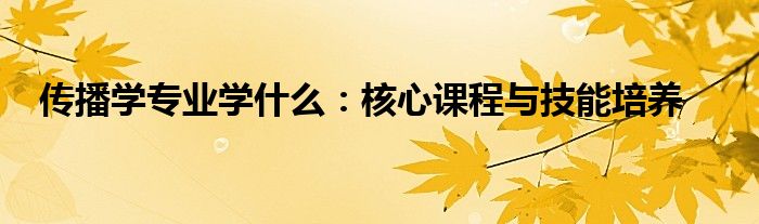 传播学专业学什么：核心课程与技能培养