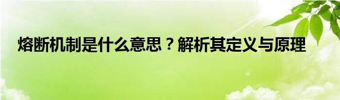 熔断机制是什么意思？解析其定义与原理