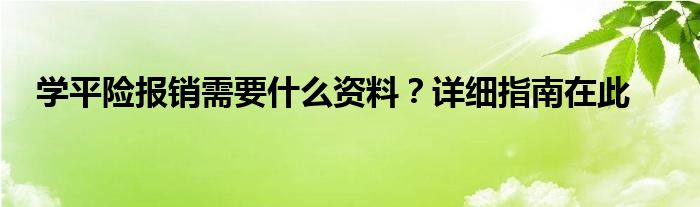 学平险报销需要什么资料？详细指南在此