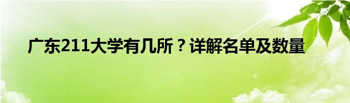 广东211大学有几所？详解名单及数量