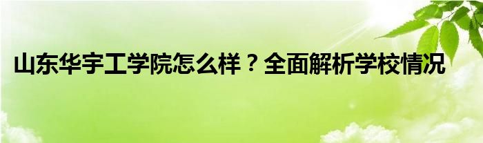 山东华宇工学院怎么样？全面解析学校情况