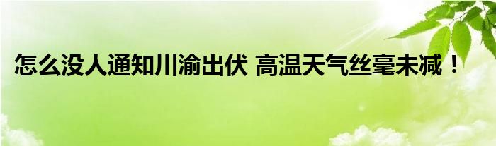 怎么没人通知川渝出伏 高温天气丝毫未减！