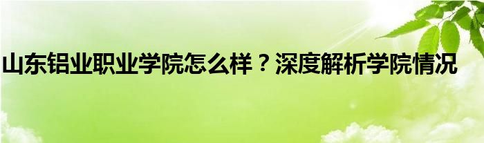 山东铝业职业学院怎么样？深度解析学院情况