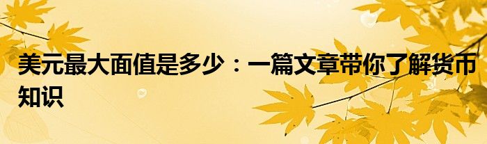 美元最大面值是多少：一篇文章带你了解货币知识