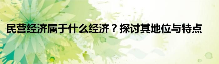 民营经济属于什么经济？探讨其地位与特点