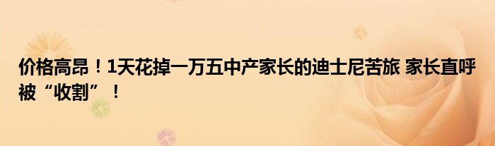 价格高昂！1天花掉一万五中产家长的迪士尼苦旅 家长直呼被“收割”！