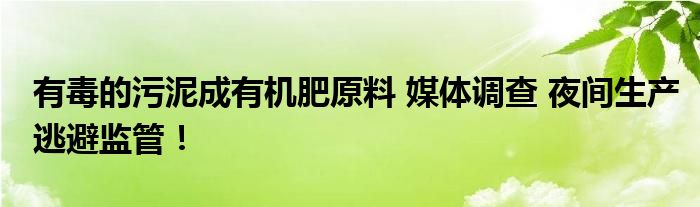 有毒的污泥成有机肥原料 媒体调查 夜间生产逃避监管！