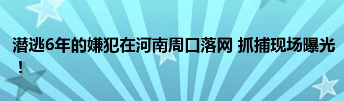 潜逃6年的嫌犯在河南周口落网 抓捕现场曝光！