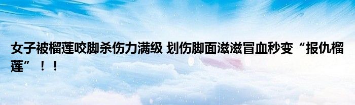 女子被榴莲咬脚杀伤力满级 划伤脚面滋滋冒血秒变“报仇榴莲”！！