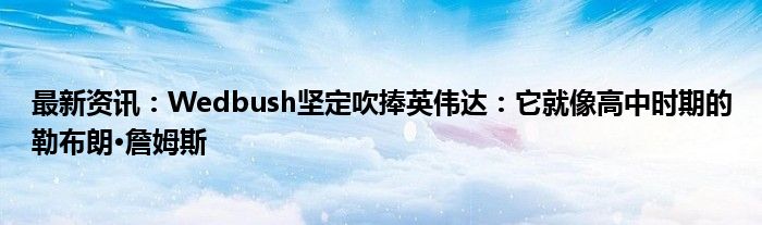 最新资讯：Wedbush坚定吹捧英伟达：它就像高中时期的勒布朗·詹姆斯