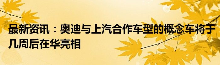 最新资讯：奥迪与上汽合作车型的概念车将于几周后在华亮相