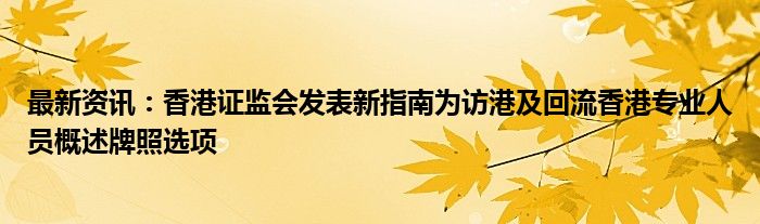 最新资讯：香港证监会发表新指南为访港及回流香港专业人员概述牌照选项