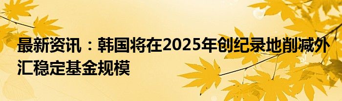 最新资讯：韩国将在2025年创纪录地削减外汇稳定基金规模