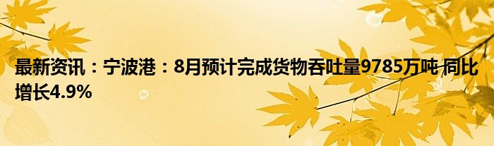 最新资讯：宁波港：8月预计完成货物吞吐量9785万吨 同比增长4.9%