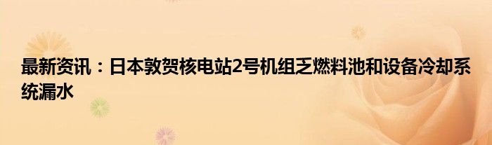 最新资讯：日本敦贺核电站2号机组乏燃料池和设备冷却系统漏水