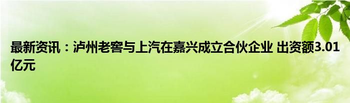 最新资讯：泸州老窖与上汽在嘉兴成立合伙企业 出资额3.01亿元