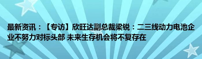 最新资讯：【专访】欣旺达副总裁梁锐：二三线动力电池企业不努力对标头部 未来生存机会将不复存在