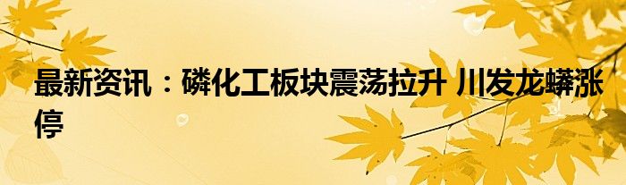 最新资讯：磷化工板块震荡拉升 川发龙蟒涨停