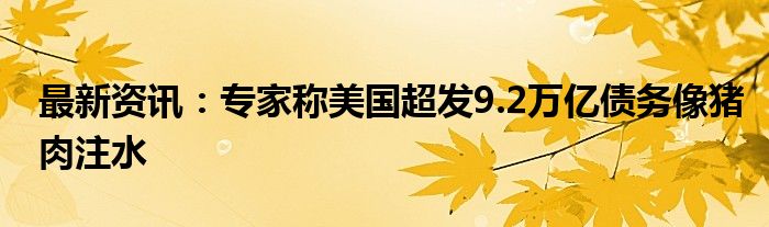 最新资讯：专家称美国超发9.2万亿债务像猪肉注水