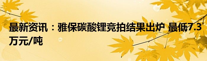 最新资讯：雅保碳酸锂竞拍结果出炉 最低7.3万元/吨