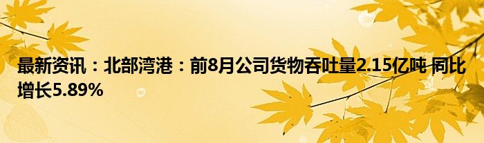 最新资讯：北部湾港：前8月公司货物吞吐量2.15亿吨 同比增长5.89%