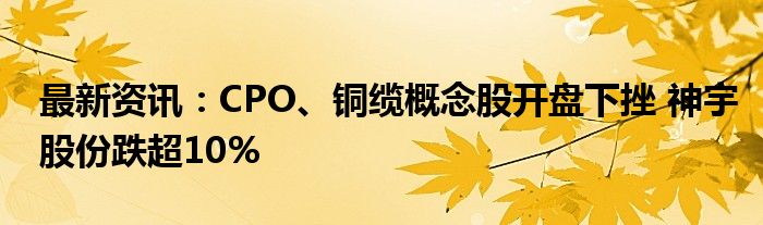 最新资讯：CPO、铜缆概念股开盘下挫 神宇股份跌超10%