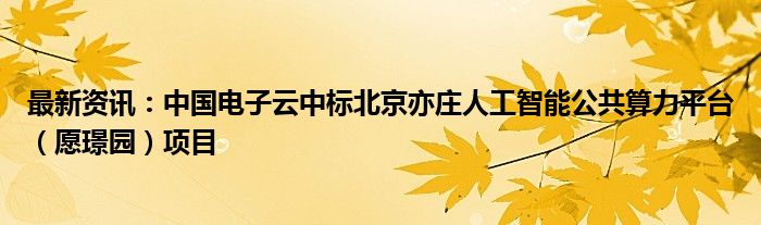 最新资讯：中国电子云中标北京亦庄人工智能公共算力平台（愿璟园）项目