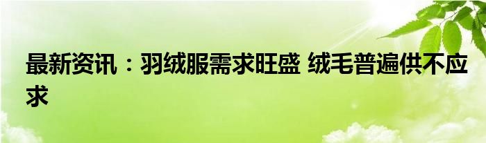 最新资讯：羽绒服需求旺盛 绒毛普遍供不应求