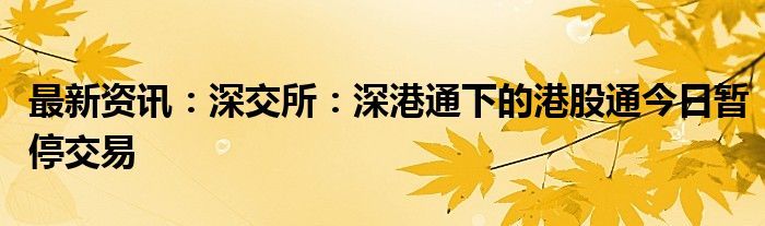 最新资讯：深交所：深港通下的港股通今日暂停交易