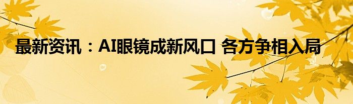 最新资讯：AI眼镜成新风口 各方争相入局