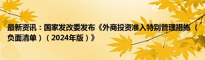 最新资讯：国家发改委发布《外商投资准入特别管理措施 （负面清单）（2024年版）》