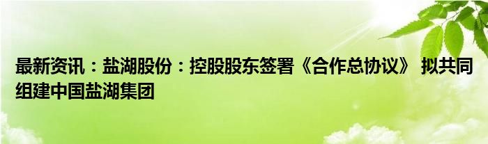 最新资讯：盐湖股份：控股股东签署《合作总协议》 拟共同组建中国盐湖集团