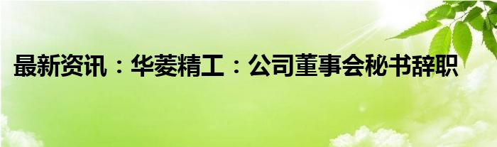 最新资讯：华菱精工：公司董事会秘书辞职