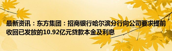 最新资讯：东方集团：招商银行哈尔滨分行向公司要求提前收回已发放的10.92亿元贷款本金及利息