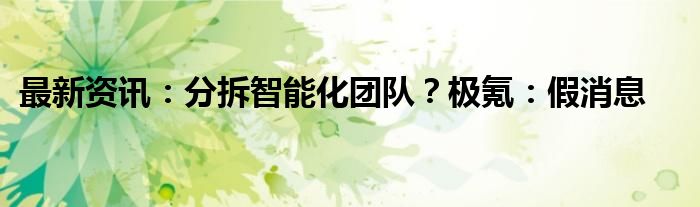 最新资讯：分拆智能化团队？极氪：假消息