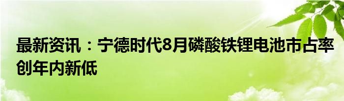 最新资讯：宁德时代8月磷酸铁锂电池市占率创年内新低